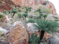 Habitat, East Kimberley Region of Western Australia.